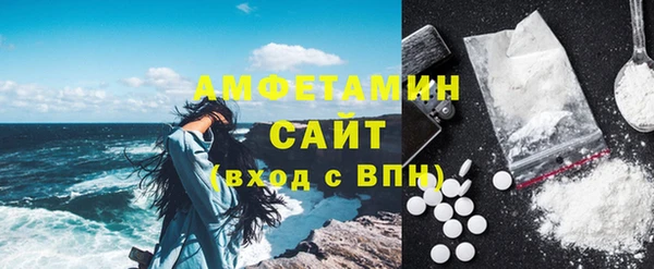 прущие грибы Инта