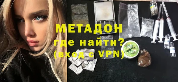 прущие грибы Инта