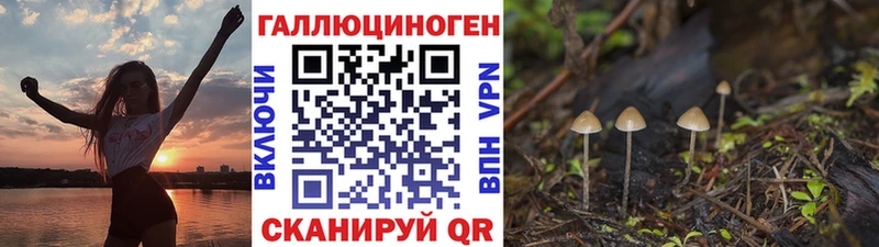 Галлюциногенные грибы Magic Shrooms  Купить  Курчатов 